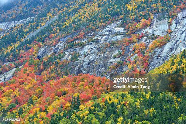 fall colors in crawford notch state park - crawford notch stock-fotos und bilder