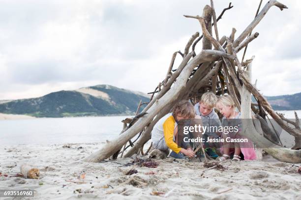 three children on a beautiful beach in a homemade driftwood teepee building a fire - three girls at beach stock pictures, royalty-free photos & images