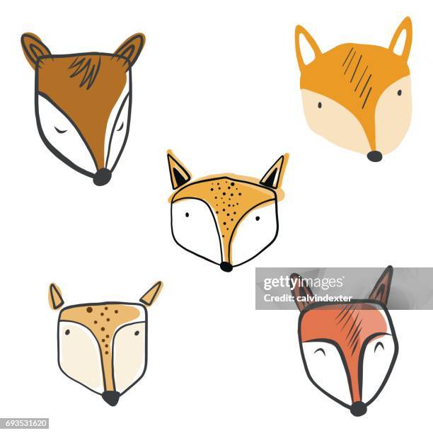 cute fox faces cartoon style - cute foxes stock illustrations