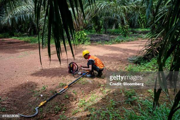 Kingoya Technologies Sdn. Employee prepares a Kingoya ECUT cutter during a demonstration at a palm oil plantation in Bukit Basout Estate, Perak...