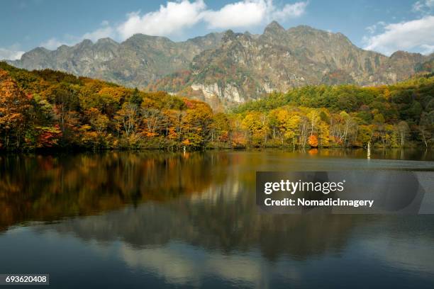 fall colors with japanese landscape photography - togakushi stock pictures, royalty-free photos & images