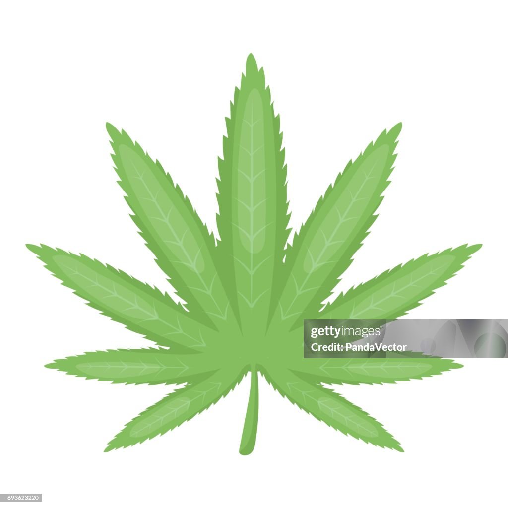 Icono De Hoja De Marihuana En Estilo De Dibujos Animados Aislado Sobre  Fondo Blanco Drogas El Símbolo Ilustración Vectorial De Stock Ilustración  de stock - Getty Images