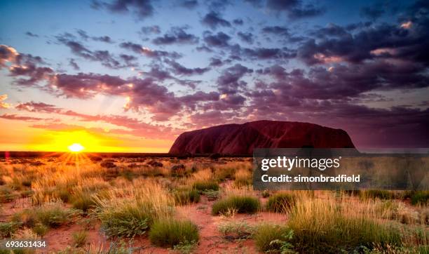 uluru at dawn - uluru rock stock pictures, royalty-free photos & images