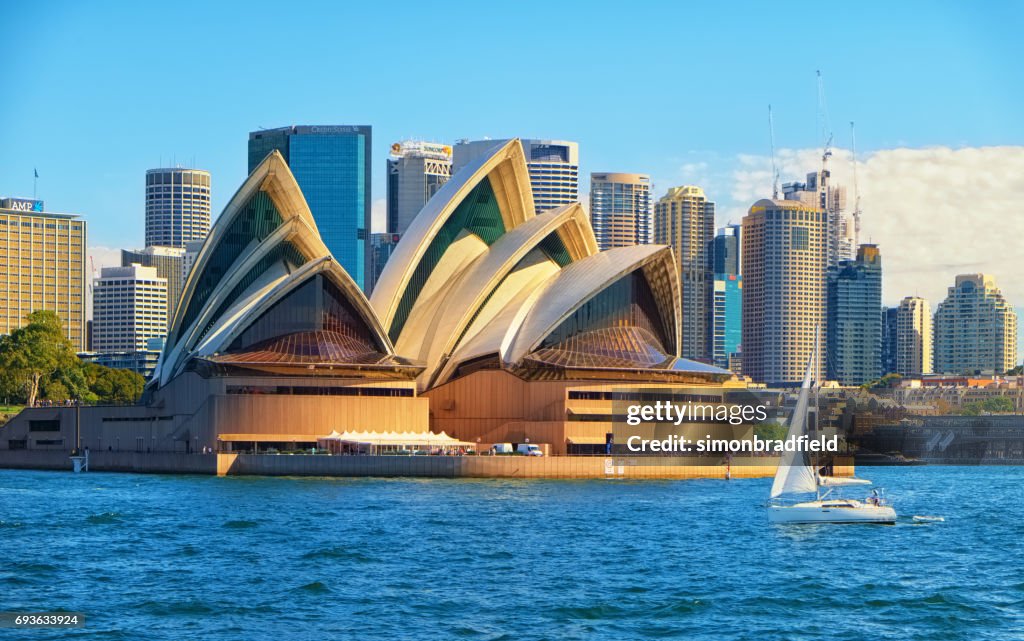 Segeln am Hafen in der Nähe der Oper von Sydney
