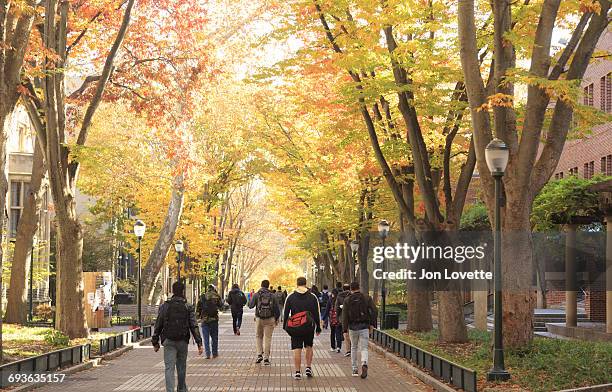 university campus with crowd of students - college campus - fotografias e filmes do acervo