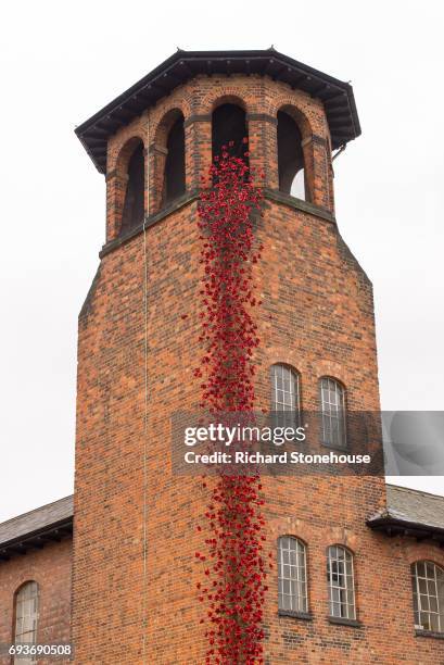 The poppy sculpture Weeping Window opens at The Silk Mill in Derby as part of a UK-wide tour organised by 14-18 NOW on June 8, 2017 in Derby,...