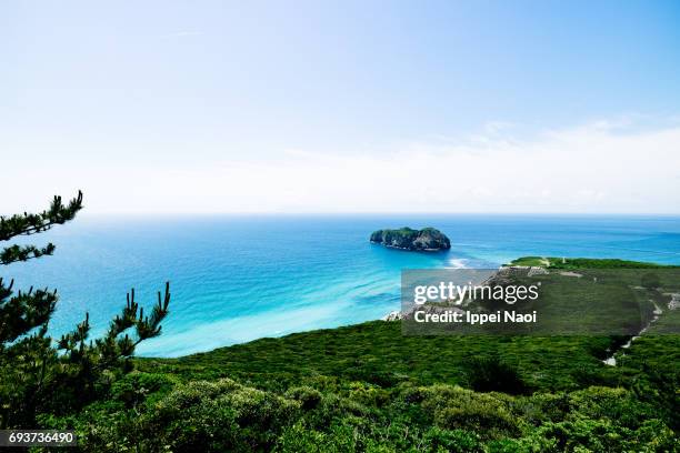 aerial view of niijima island of tokyo, fuji-hakone-izu national park - fuji hakone izu national park stock-fotos und bilder