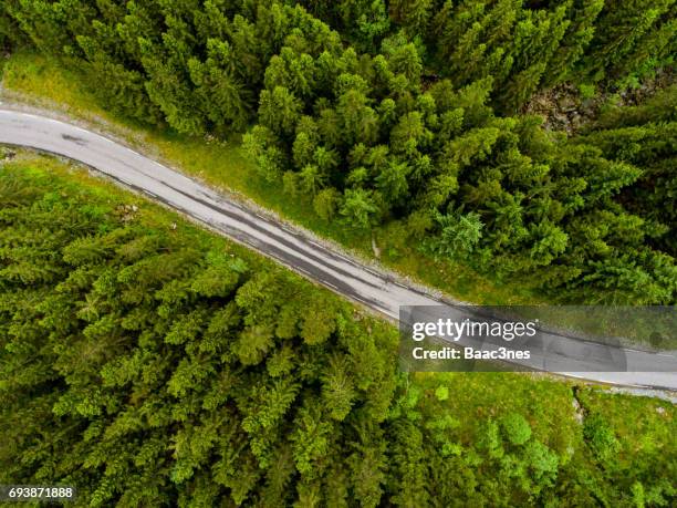 norwegian country road seen from above - norway spruce stock pictures, royalty-free photos & images