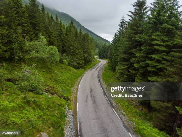 the way forward - small country road in west norway - norway spruce stock pictures, royalty-free photos & images