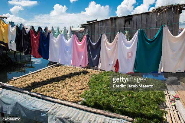 seaweed drying in a sama-bajau village, tawi-tawi, philippines - tawi tawi stock pictures, royalty-free photos & images