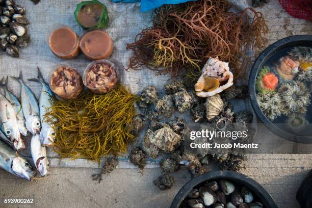 fresh seafood produce in public market. - homegrown produce ストックフォトと画像