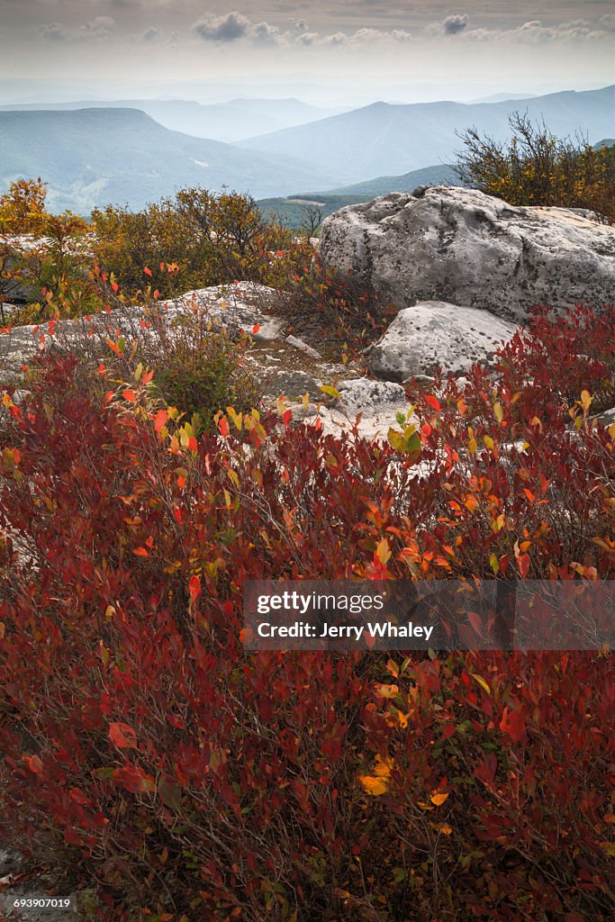 Autumn, Bear Rocks Preserve, Dolly Sods Wilderness