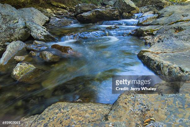 autumn, stream, pisgah national forest - jerry whaley 個照片及圖片檔