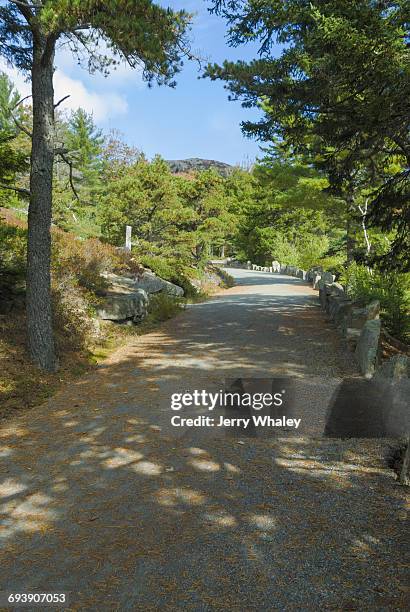 carriage road, acadia np, mount desert island - jerry whaley stock pictures, royalty-free photos & images