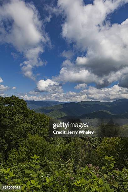 north carolina landscape - jerry whaley 個照片及圖片檔