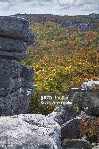 autumn, bear rocks preserve, dolly sods wilderness - jerry whaley stock pictures, royalty-free photos & images