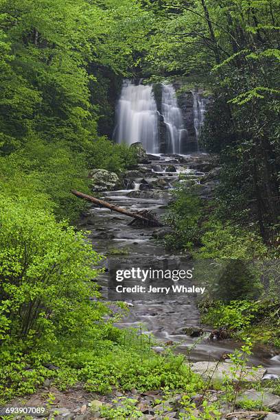 meigs falls, smokies - jerry whaley stock pictures, royalty-free photos & images
