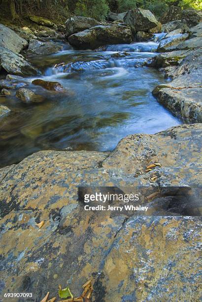 autumn, stream, pisgah national forest - jerry whaley 個照片及圖片檔