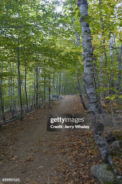 south bubble trail, acadia national park - jerry whaley stock pictures, royalty-free photos & images