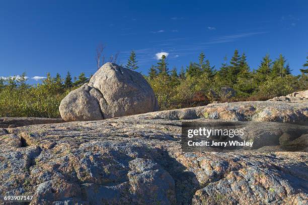 south bubble trail, acadia national park - jerry whaley stock pictures, royalty-free photos & images