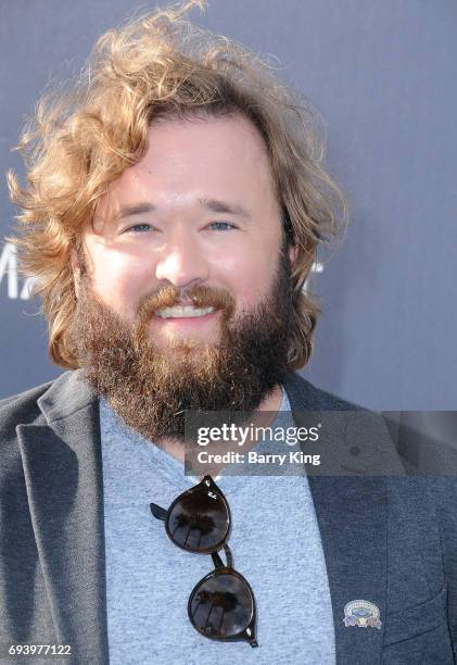 Actor Haley Joel Osment attends Los Angeles Dodgers Foundation's 3rd Annual Blue Diamond Gala at Dodger Stadium on June 8, 2017 in Los Angeles,...