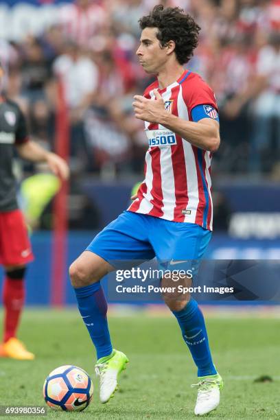 Thiago cardoso hi-res stock photography and images - Alamy