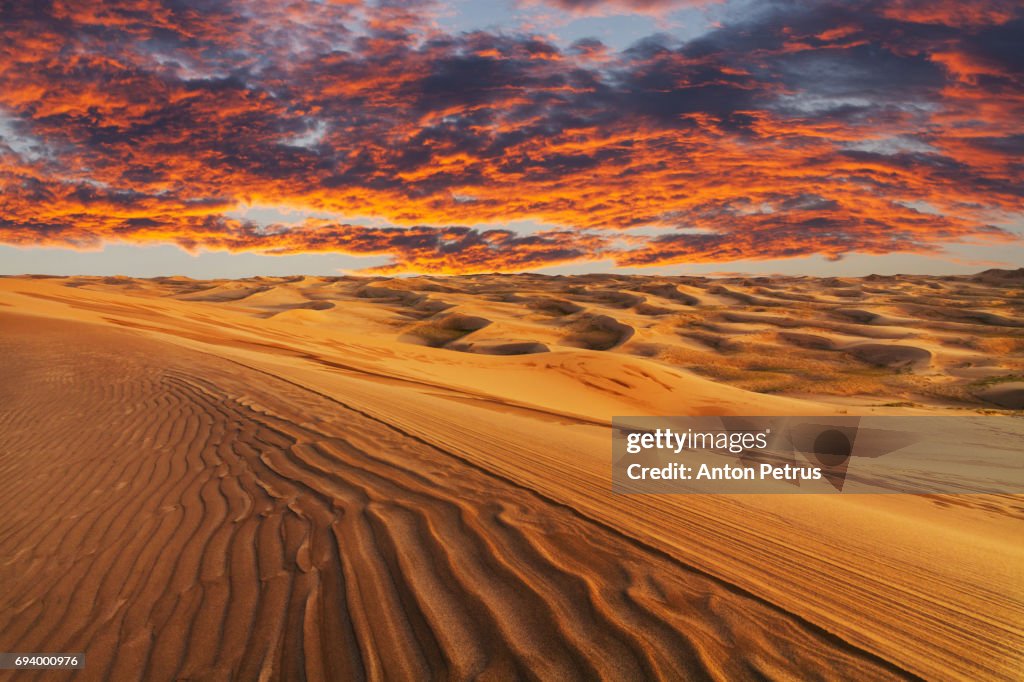 Beautiful desert landscape on the background of a fiery sunset