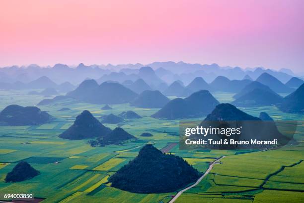 china, yunnan, luoping, fields of rapeseed flowers in bloom - china landscape stockfoto's en -beelden