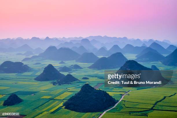 china, yunnan, luoping, fields of rapeseed flowers in bloom - tranquil scene stock pictures, royalty-free photos & images