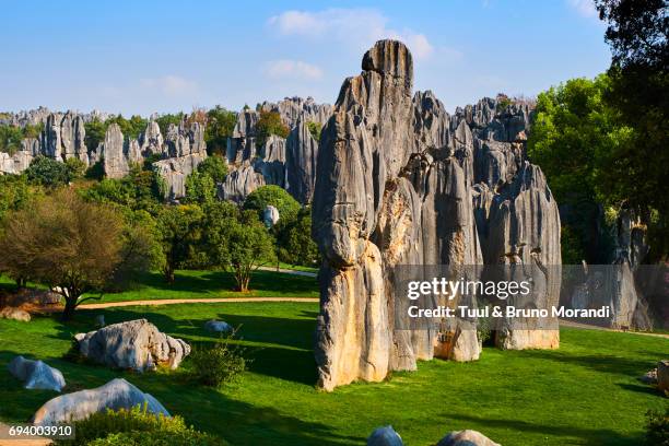 limestone pinnacles in shilin, stone forest, at lunan, yunnan, china - yunnan province stock pictures, royalty-free photos & images