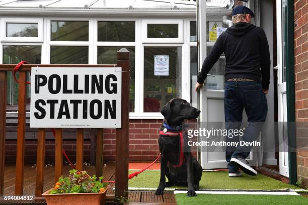 Guia, a Labrador rescued from Ecuador, looks-on as a voter enters a polling station in Stalybridge on June 8, 2017 in Greater Manchester, United...