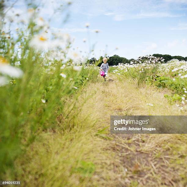 boy with bucket walking through flower meadow - ox eye daisy stock pictures, royalty-free photos & images