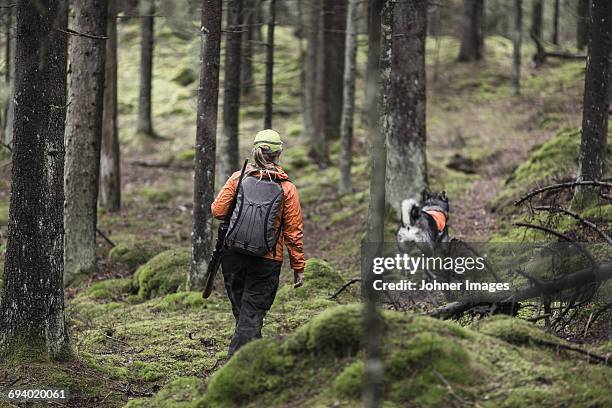 hunter with dog in forest - tiere bei der jagd stock-fotos und bilder