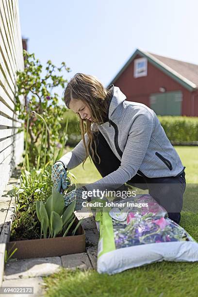 mid adult woman gardening - torslanda stock pictures, royalty-free photos & images