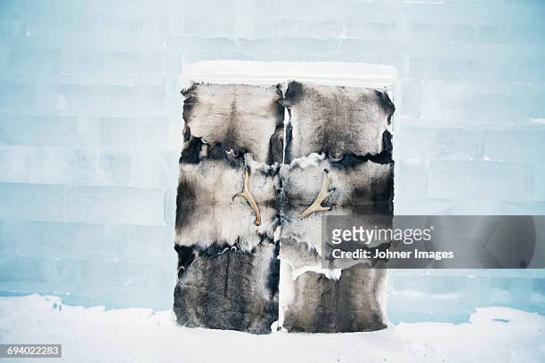 reindeer skin on ice door - ice hotel sweden stock pictures, royalty-free photos & images