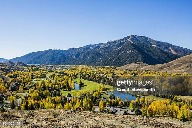 trees and ponds in mountain landscape - sun valley foto e immagini stock