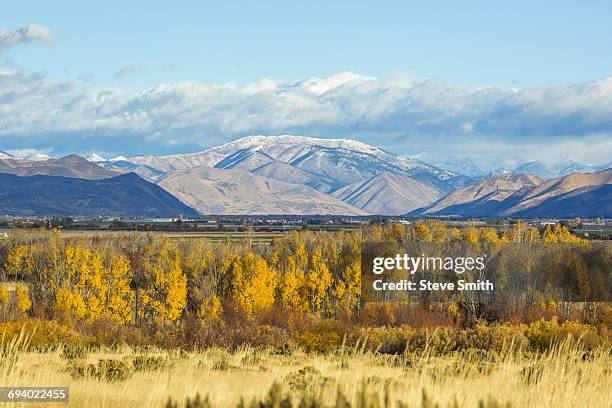 autumn trees in mountain landscape - sun valley idaho stock pictures, royalty-free photos & images