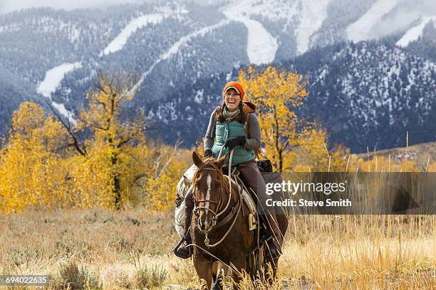 laughing caucasian woman riding horse in winter - horse front view stock pictures, royalty-free photos & images