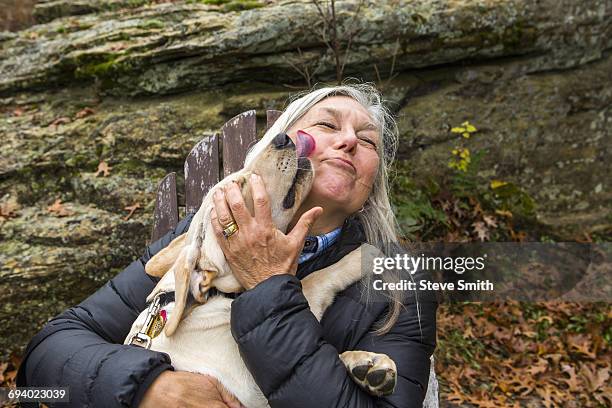 dog licking face of caucasian woman outdoors - dog licking face stock-fotos und bilder