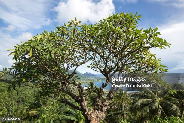 the scenery of rabaul from the vulcanology observatory, papua new guinea - rabaul stock pictures, royalty-free photos & images