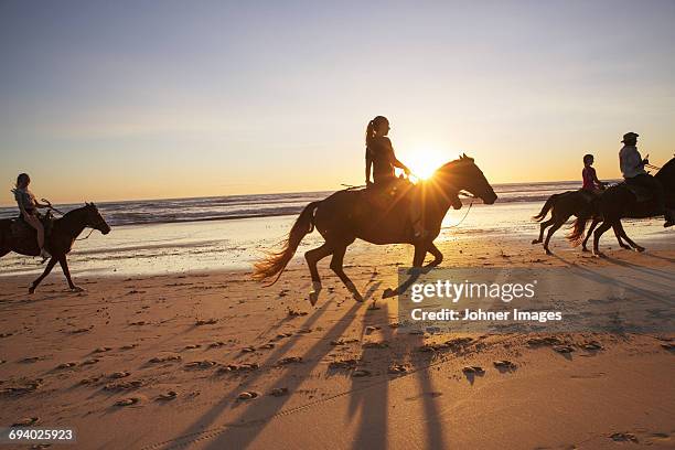 people horseback riding on beach at sunset - costa rica beach stock-fotos und bilder