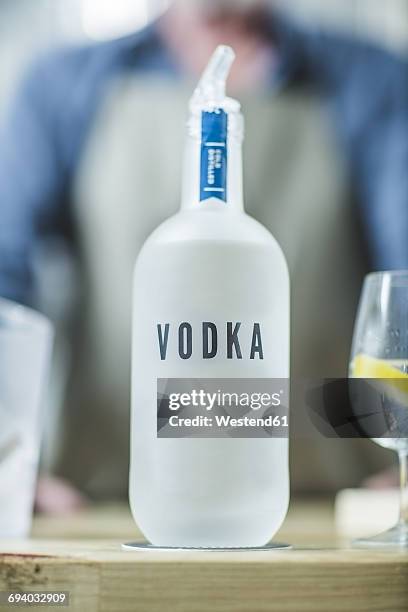 bottle of vodka in distillery - vodka stock pictures, royalty-free photos & images