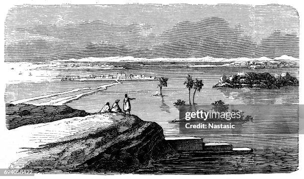nile flood - nile stock illustrations