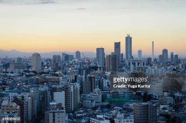 tokyo skyline at sunset - tokyo skyline sunset stock pictures, royalty-free photos & images