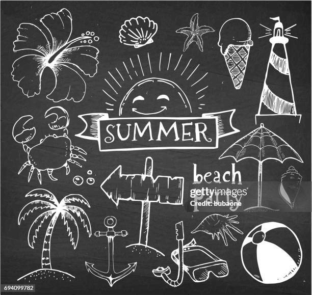 beach and summer vector hand drawings on chalk black board - beach shell texture stock illustrations