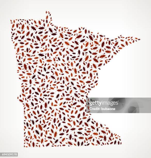 minnesota cockroach pest control vector icons background - cockroach infestation stock illustrations