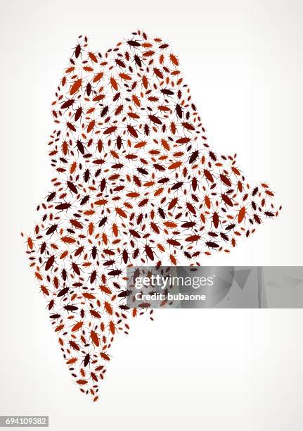 maine cockroach pest control vector icons background - infestation stock illustrations