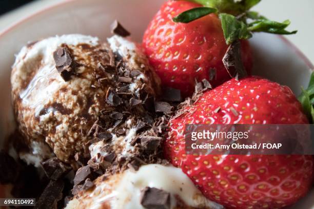 chocolate ice cream in bowl - amy freeze bildbanksfoton och bilder