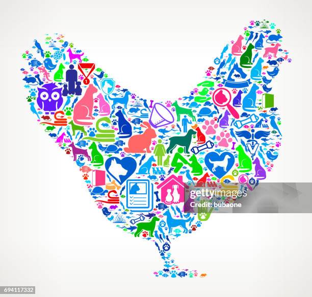 chicken pets and animals vector icon background - multiple pets stock illustrations