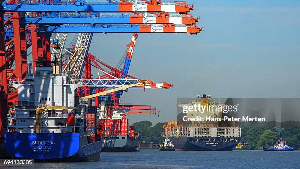 container terminal eurokai, hamburg, germany - hamburger hafen stock-fotos und bilder